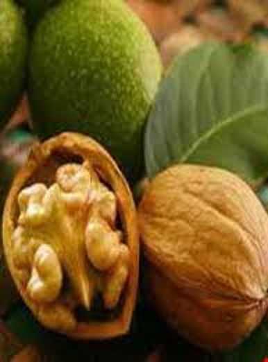 قیمت گردوی تویسرکان