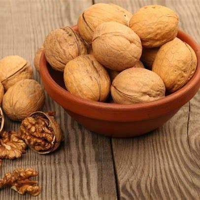 قیمت گردو امسال