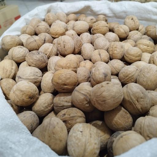 قیمت گردو امسال