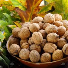 قیمت گردو ۱۴۰۱