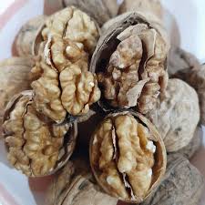 فروش گردو ایرانی