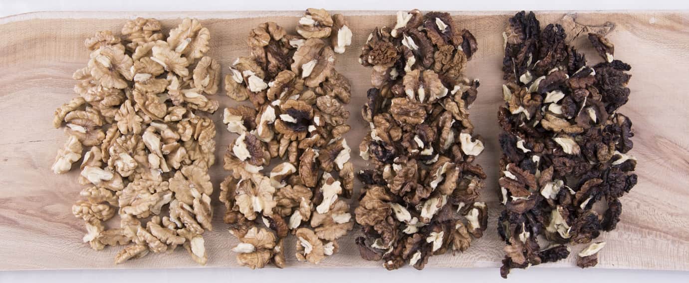 مغز گردو امسال