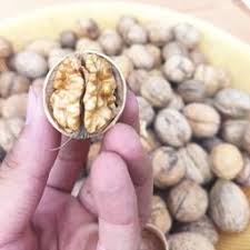 قیمت گردو پوست نازک