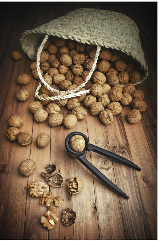 خرید گردو ایرانی